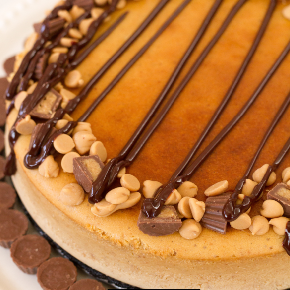 Cookie Butter Cheesecake Recipe